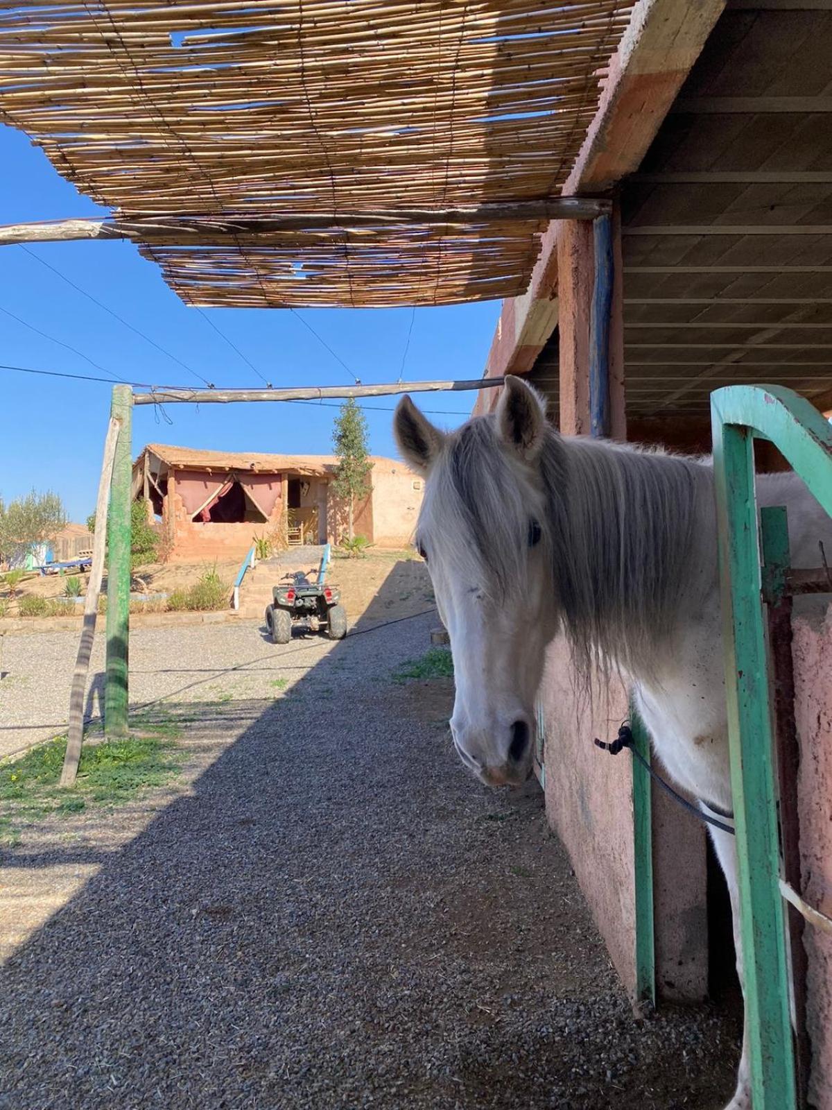 Villa Les Cavaliers Chez Yassine Marrakesh Exterior foto