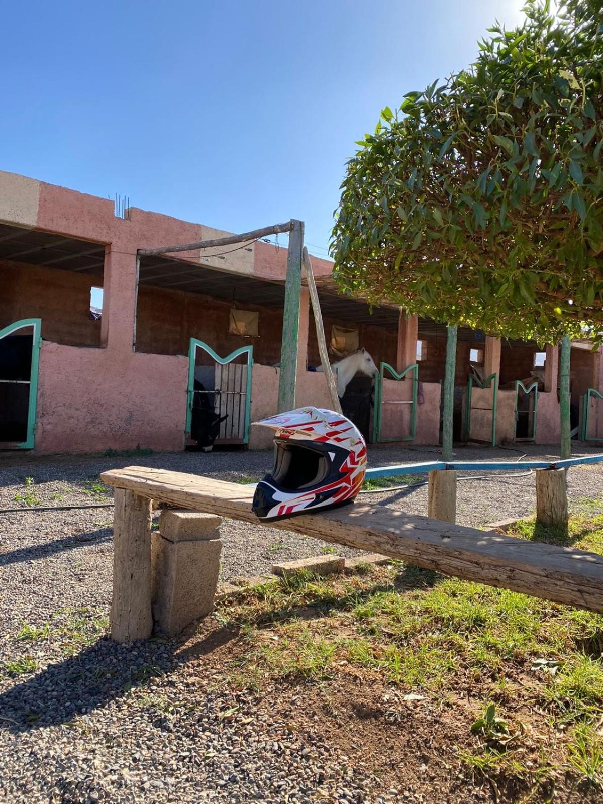 Villa Les Cavaliers Chez Yassine Marrakesh Exterior foto