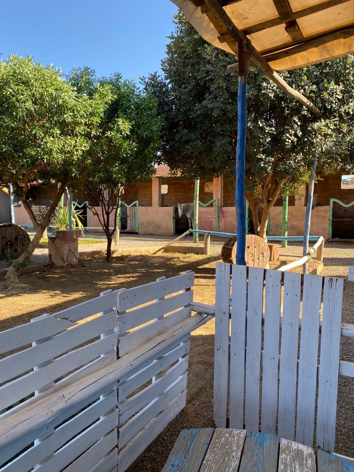 Villa Les Cavaliers Chez Yassine Marrakesh Exterior foto